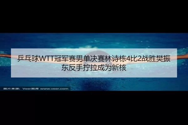 乒乓球WTT冠军赛男单决赛林诗栋4比2战胜樊振东反手拧拉成为新核