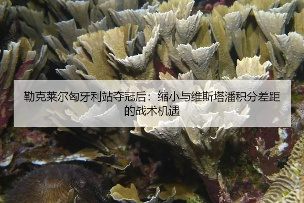lei-ke-lai-er-xiong-ya-li-zhan-duo-guan-hou-suo-xiao-yu-wei-si-ta-pan-ji-fen-cha-ju-de-zhan-shu-ji-yu-3-837.jpg